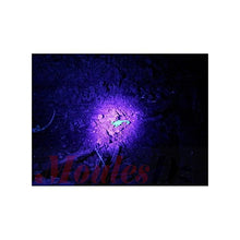 Charger l'image dans la galerie, Détecteur de Scorpion Lampe Torche LED - Ultra-Violet Dz